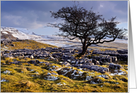 Winter scene, The Yorkshire Dales, limestone country - blank card