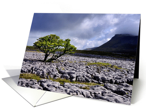 The Yorkshire Dales - Ingleborough from White Scar - Blank card