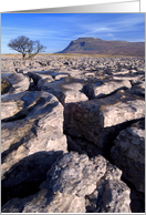 Ingleborough from White Scars, Yorkshire Dales - Blank card