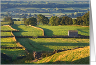 Early morning, barns and walls, The Yorkshire Dales - Customizable card