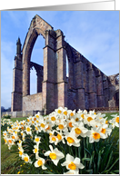 Bolton Abbey ruins, Wharfedale, The Yorkshire Dales - Blank card