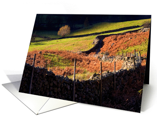 Langdale Lane, Sunshine and Shade, The Lake District - Blank card