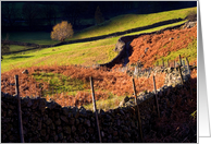 Langdale Lane, Sunshine and Shade, The Lake District - Blank card