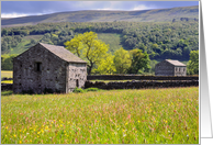 Summer Meadow,...