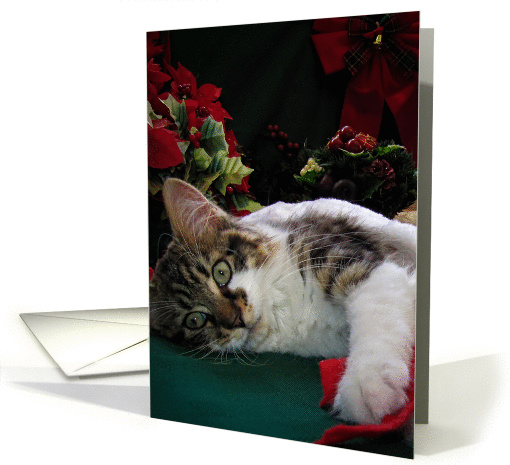 Merry Christmas Kitten, Xmas Holiday, Large Eyes card (882529)