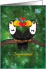 Gay Wedding Congratualtions-Toucan Illustration card