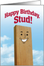 Happy Birthday, Stud! Funny Card for Him card