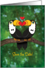 Gay Save The Date Wedding Announcement - Toucan Illustration card