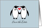 Gay Penguins Save The Date Wedding Announcement card