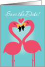 Lesbian Wedding Cute Flamingo Save the Date card