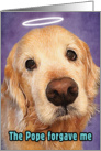 Angelic but Funny Golden Retriever Asking for Forgiveness card