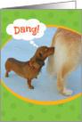 Funny Dachshund Sniffing A Golden Retriever Birthday Card