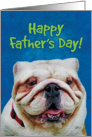 Happy Father’s Day from Cute English Bulldog card