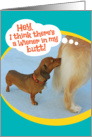 Funny Wiener in Golden Retiever’s Butt Just For Fun card