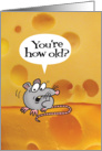 Birthday-Holey Cheeses!-You’re how old? Funny Card