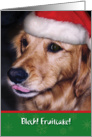 Christmas-Golden Retriever-Eating-Fruitcake-Greeting Card