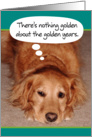 Birthday-Golden Retriever-Golden-Years card