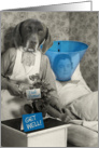 Funny Dog Nurse with Patient Get Well Card