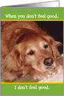 Sad Golden Retriever Get Well Card