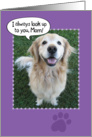 Happy Mother’s Day from a Golden Retriever card