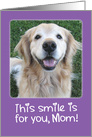 Smiling Golden Retriever Mother’s Day Card