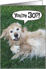 Funny Golden Retriever 30th Birthday Card