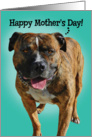 Mother’s Day Card From Your Awesome Pitbull card