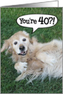 Funny Golden Retriever 40th Birthday Card