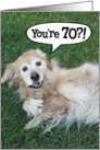 Funny Golden Retriever 70th Birthday Card