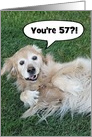 Funny Golden Retriever Custom Age Birthday Card