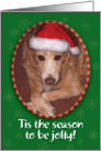 Bark! Humbug! Dog with Attitude Christmas Card