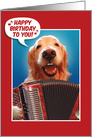 Golden Retriever Singing Happy Birthday and Playing Accordion card