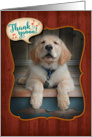 Golden Retriever Puppy-Singing Praises Thank You Card