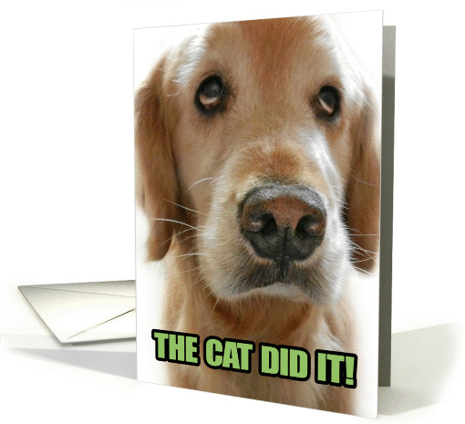 Funny Golden Retriever Apology card (1072440)