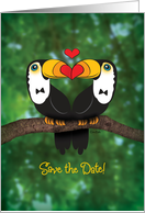 Gay Save The Date Wedding Announcement - Toucan Illustration card