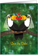 Lesbian Save The Date Wedding Announcement - Toucan Illustration card