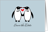 Gay Penguins Save The Date Wedding Announcement card