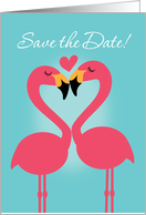 Lesbian Wedding Cute Flamingo Save the Date card