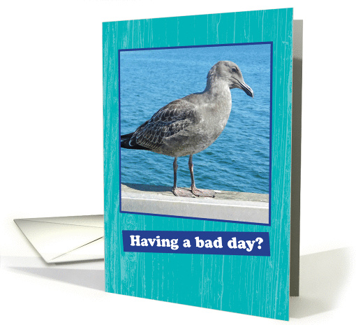 Humorous Encouragement Card with a Grumpy Seagull card (1274738)