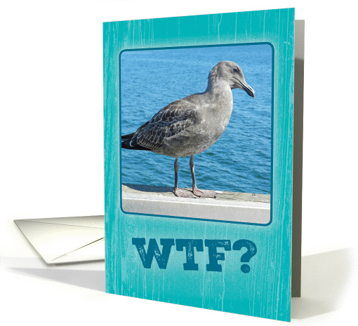 Funny WTF? Seagull Happy Bird-Day! Birthday card (1383740)