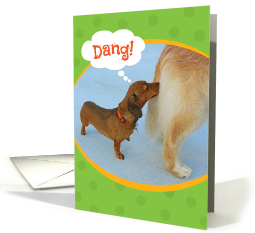 Funny Dachshund Sniffing A Golden Retriever Birthday card (1383804)