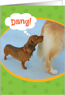 Funny Dachshund Sniffing A Golden Retriever Birthday Card