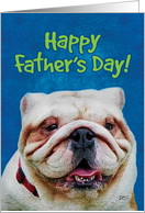 Happy Father’s Day from Cute English Bulldog card