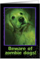 Halloween-Funny-Zombie-Golden Retriever card
