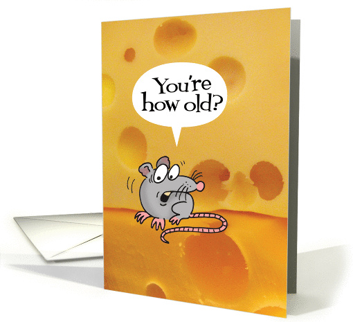 Birthday-Holey Cheeses!-You're how old? Funny card (880100)