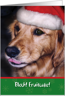 Christmas-Golden Retriever-Eating-Fruitcake-Greeting Card