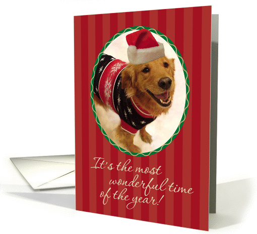 Christmas-Golden Retriever-Ugly-Sweater-Greeting card (881580)