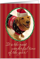 Christmas-Golden Retriever-Ugly-Sweater-Greeting Card