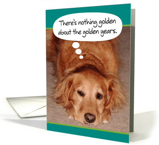 Birthday-Golden Retriever-Golden-Years card (881832)