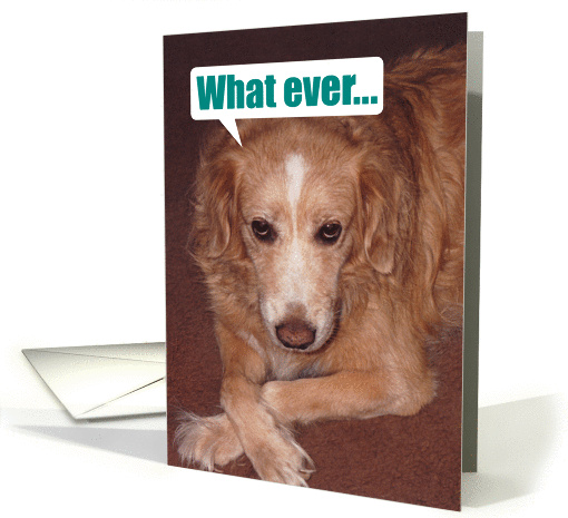 Birthday-Whatever You Do-Mix Breed Dog card (881843)